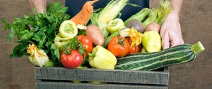 Vaker duurzaam eten op tafel