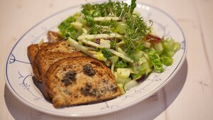 Waldorfsalade nieuwe stijl