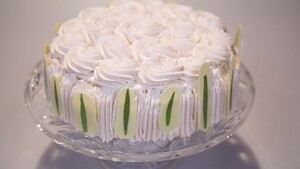 Sloveense yogurttaart met dragon (Jogurtovo Pecivo)