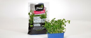 Nieuw versproduct Crazy Pea verkrijgbaar