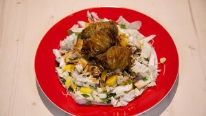Chinese koolrolletjes in sojasaus