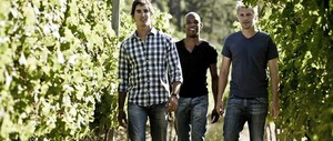 Exploring the Vine