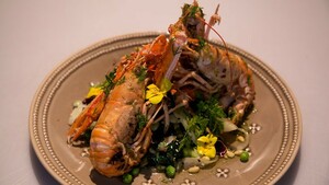 Gebakken langoustines met wilde spinazie en zoete dressing