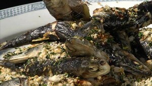 Gegrilde sardines met tomatensalade