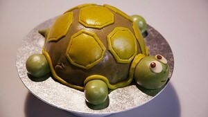 Justins schildpadtaart