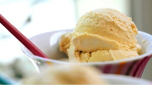 No churn very vanilla ice cream