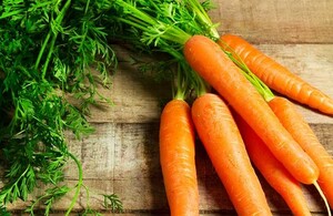 Wat is het verschil tussen wortel en peen?