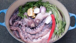 Octopus is niet eng