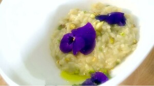 Risotto met prosecco, pistachepesto en viooltjes