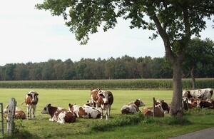 Duurzaam: wat is dat nou eigenlijk? Op onderzoek bij Nederlandse boeren