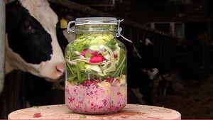 Boerensalade met Texelse kaas in een weckpot