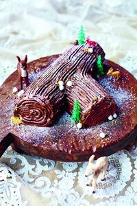 Jamie Oliver's chocoladeboomstam