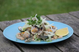 Kokkels met venkel en witte bonen