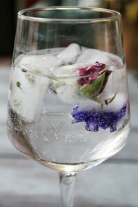 IJsblokjes met eetbare bloemen en fruit