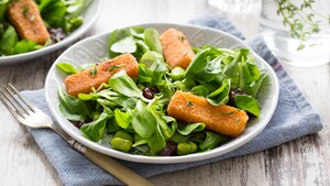 Salade met gebakken kaasstukjes, tuinboontjes en cranberrydressing