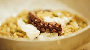 Octopus