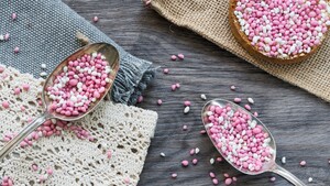Beschuit met muisjes