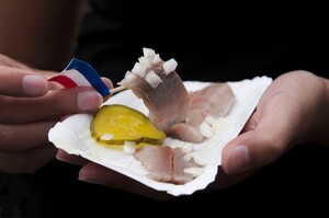 Hollandse Nieuwe
