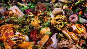 food waste