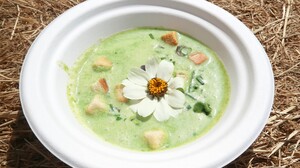 LSD-soep met salade en croutons