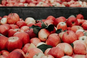 Appels bewaren