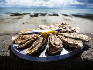 Oesters