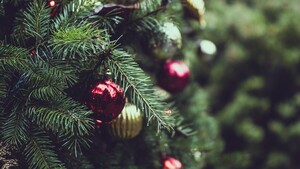 Kerstboom