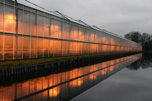 Groente uit de kas