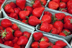 Aardbeien