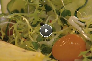 Omelet met salade van gemarineerde courgette