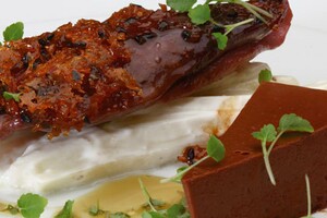 The Taste of Cooking: Duif