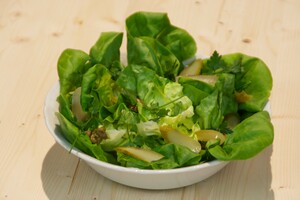 Groene salade