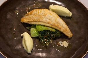 Scholfilets met knolselderijmousseline