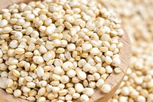 Quinoa en alternatieven