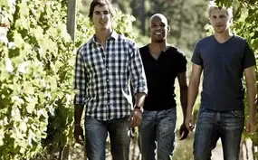 Exploring the Vine