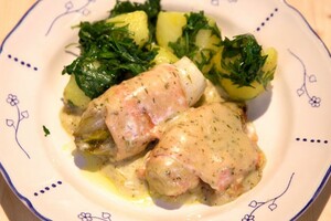 Witlof-zalmcomplot uit de oven