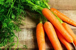 Wat is het verschil tussen wortel en peen?