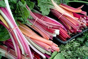 Rabarberseizoen (+ bewaartip)