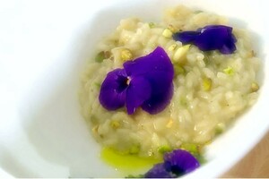 Risotto met prosecco, pistachepesto en viooltjes