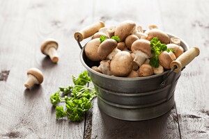 Inspiratie voor gerechten met paddenstoelen