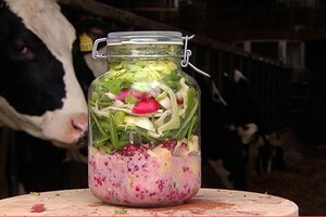 Boerensalade met Texelse kaas in een weckpot