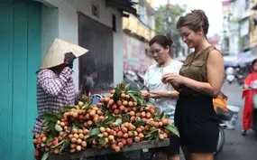 Miljuschka's Street Food Vietnam