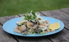 Kokkels met venkel en witte bonen