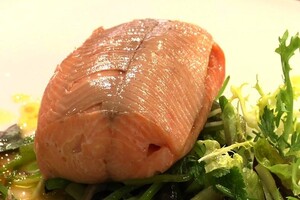 Gestoomde zalmforel