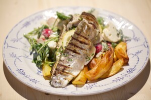 Gegrilde forel met frisse rauwkost