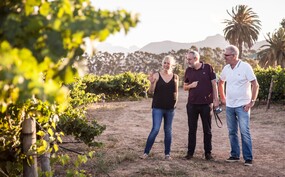 Wit, rose en roodtrip 3