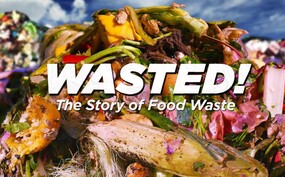Wasted! The Story of Food Waste