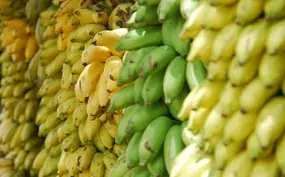 Bananen