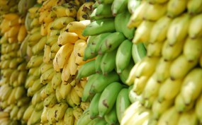 Bananen