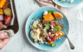 Geroosterde groenten met geitenkaas en venkelsalade